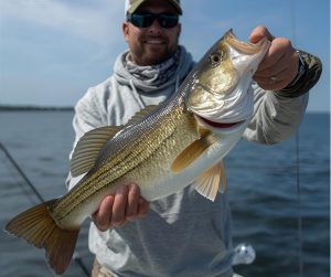 Welaka is known as the Bass Fishing Capital of the World. Prime bass fishing.