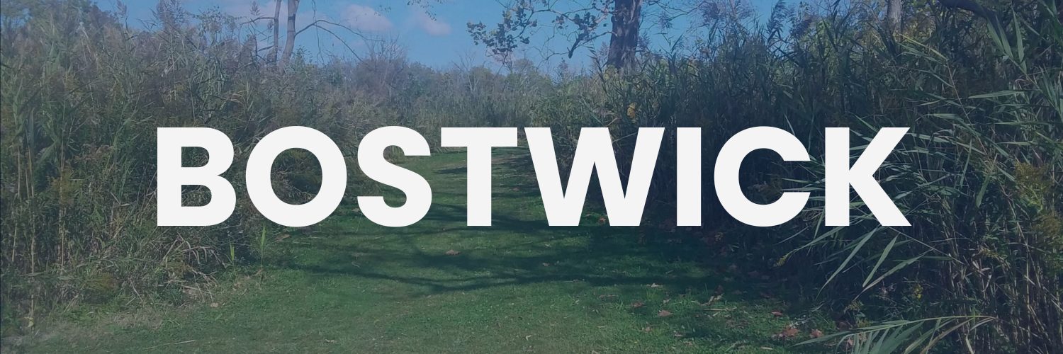 Golden farmlands and blueberry fields at sunrise – Bostwick, Florida