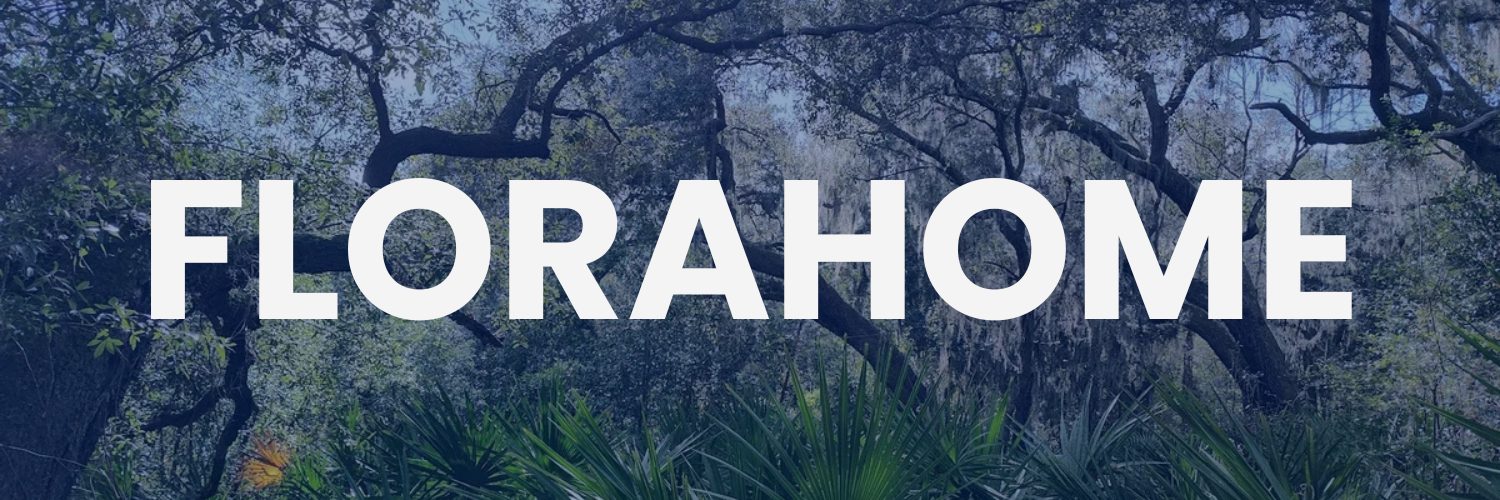 Moss-draped oaks and charming bungalows in Florahome, Florida